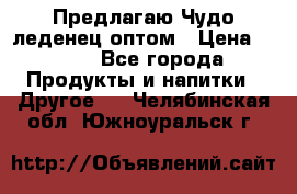 Предлагаю Чудо леденец оптом › Цена ­ 200 - Все города Продукты и напитки » Другое   . Челябинская обл.,Южноуральск г.